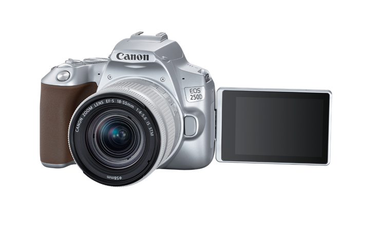 EOS 250D (II).png